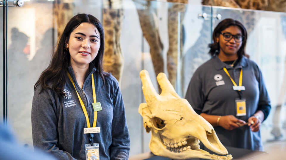 California Academy of Sciences
