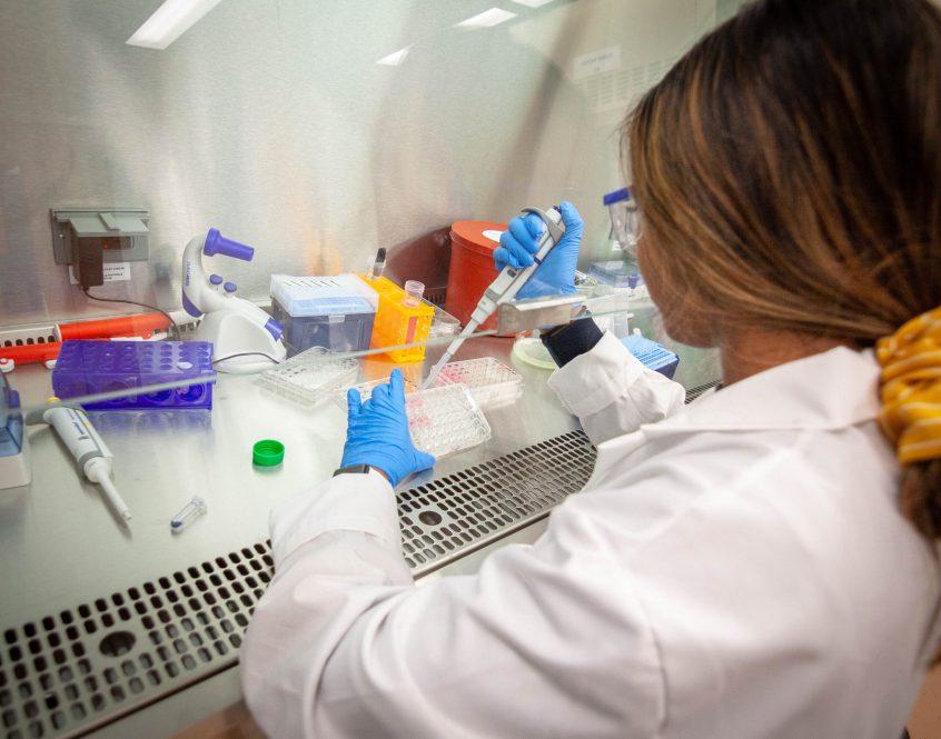 Tissue Engineering Specialists
